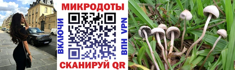 наркошоп  Семёнов  Галлюциногенные грибы мицелий 